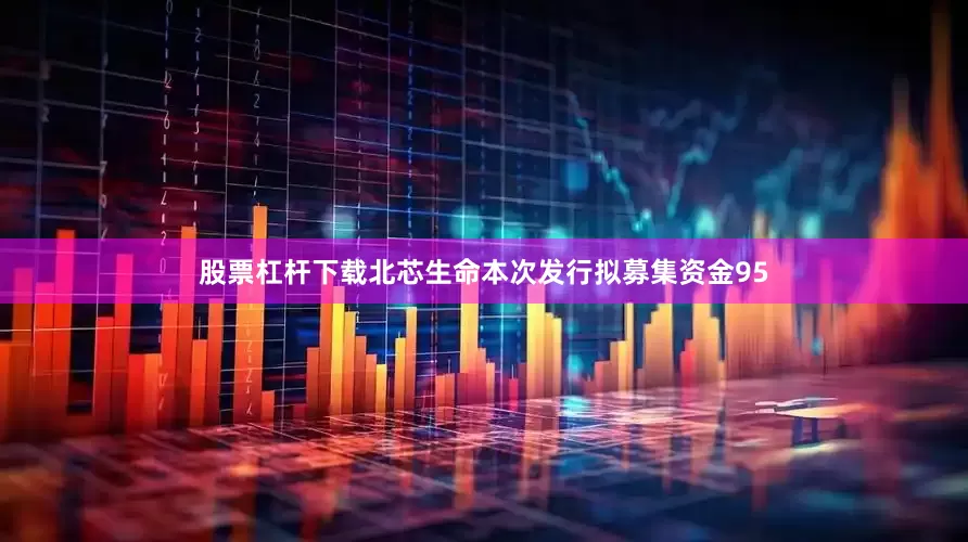 股票杠杆下载北芯生命本次发行拟募集资金95