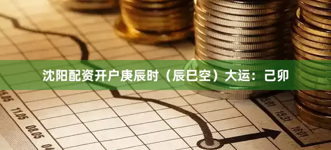 沈阳配资开户庚辰时（辰巳空）大运：己卯
