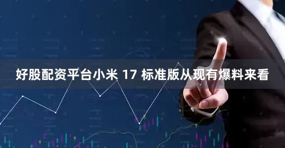好股配资平台小米 17 标准版从现有爆料来看
